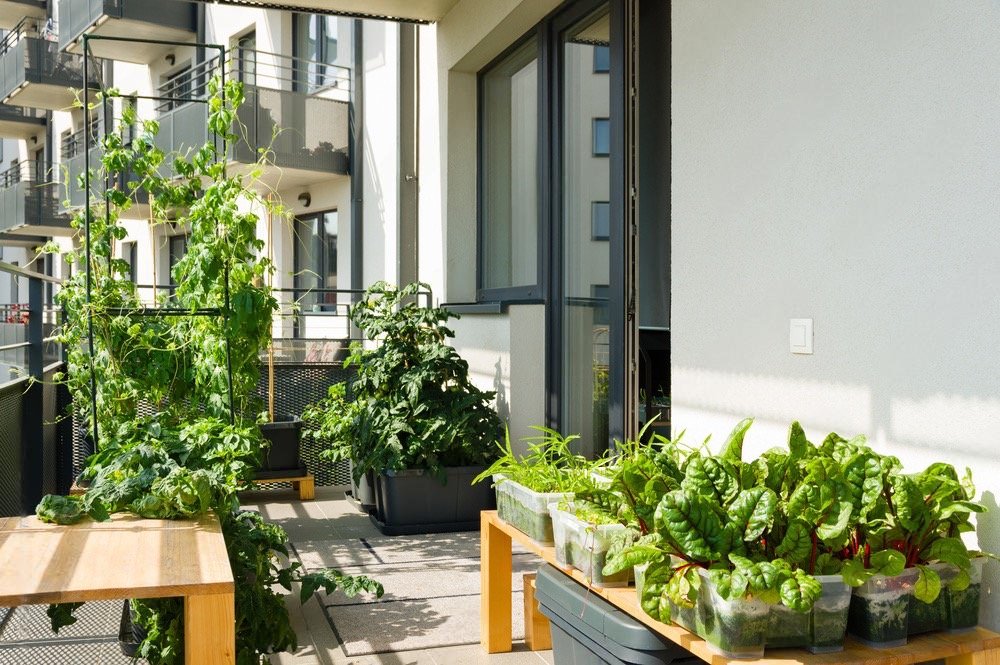 balcony garden ideas