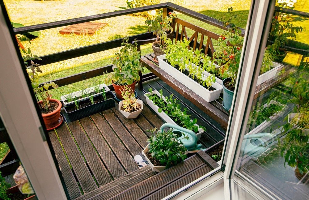vertical gardening ideas
