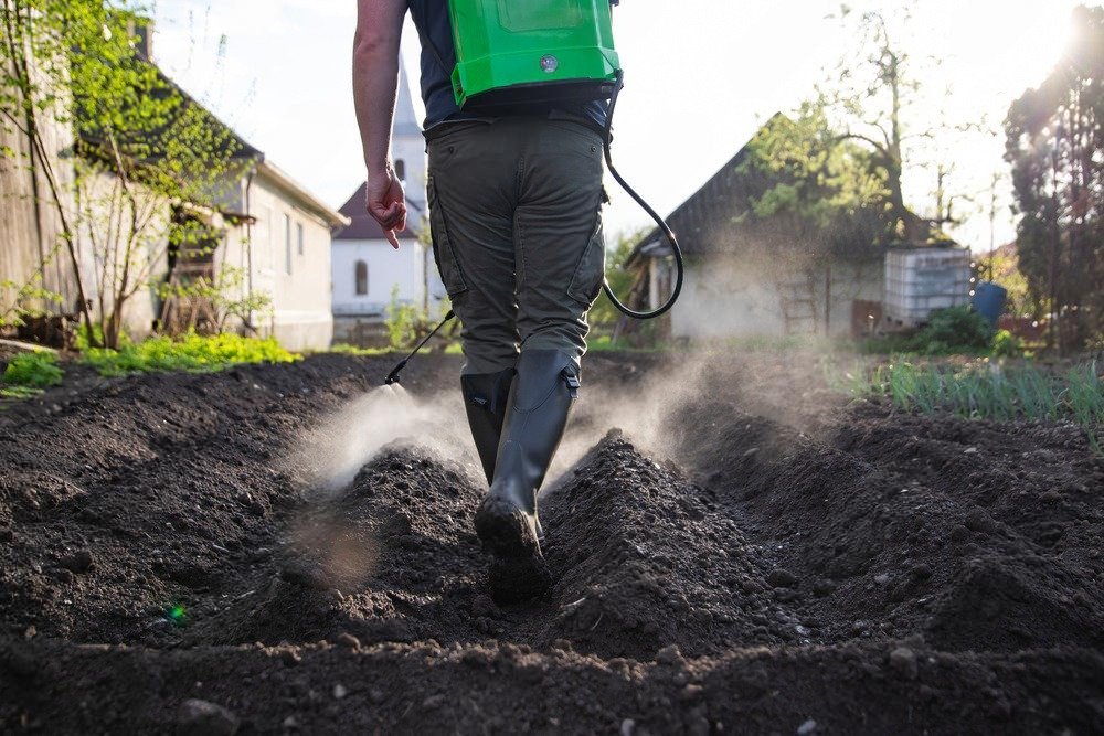 Natural Pest Control for Gardens