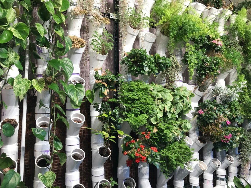 vertical gardening ideas