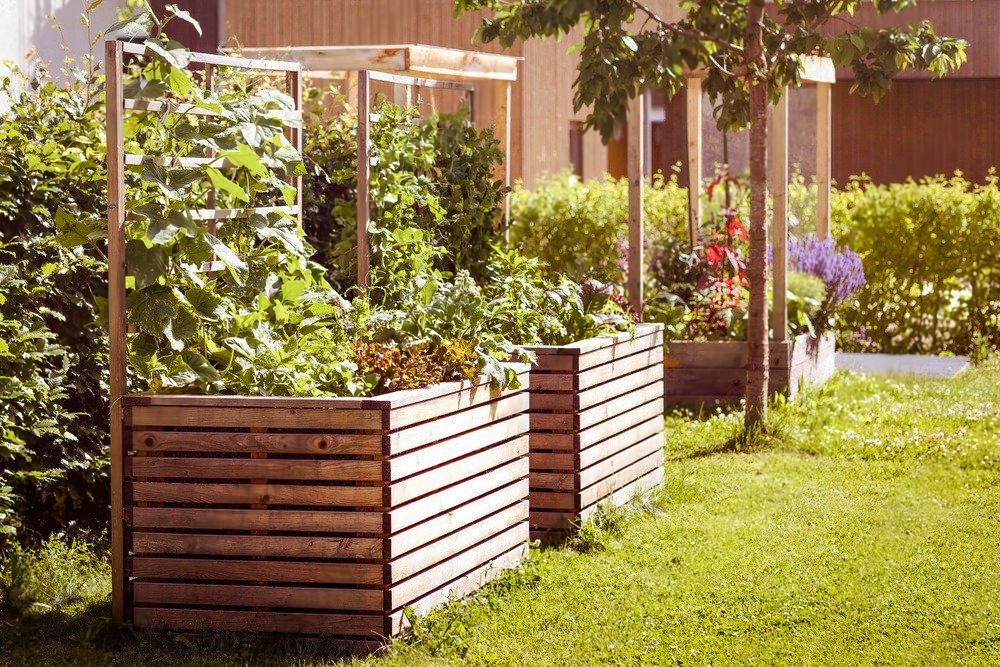 Raised Bed Gardening