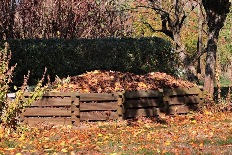 fall, meadow, leaves, nature, grass, tree, compost, autumn leaves, autumn color, foliage coloring, autumn mood, autumnal, colorful, october, compost, compost, compost, compost, compost
